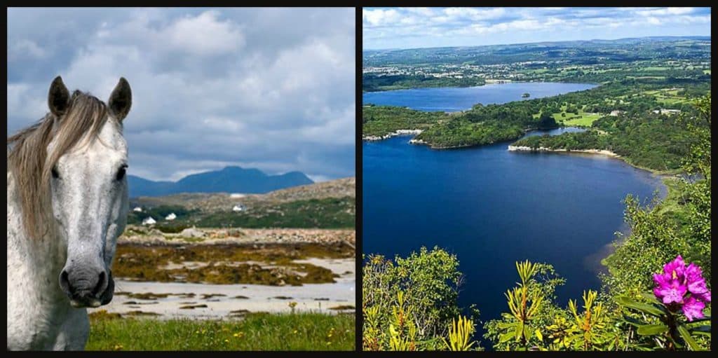 Os 6 impresionantes parques nacionais de Irlanda
