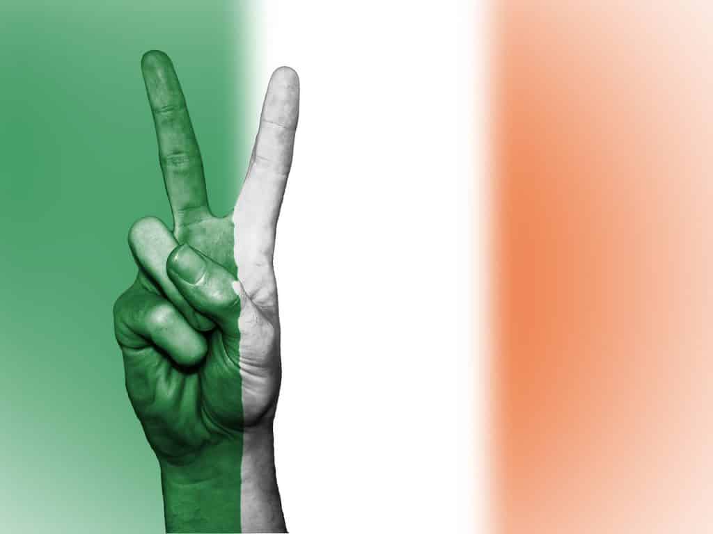 TOP 10 Amazing feiten dy't jo net wisten oer de Ierske flagge