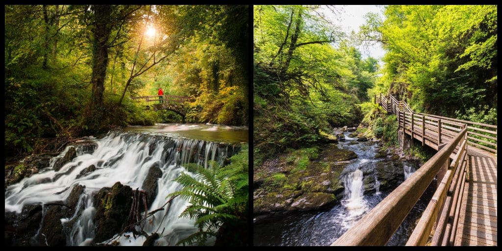 İrlanda'da ZİYARET ETMENİZ GEREKEN EN İYİ 10 orman parkı